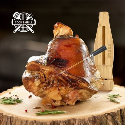 TESLA Electronics - Chytrý teploměr na maso s nabíjecím stojánkem 0-300 °C 5V IP67