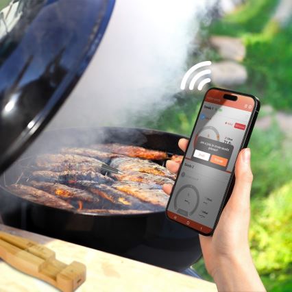 TESLA Electronics - Chytrý teploměr na maso s nabíjecím stojánkem 0-300 °C 5V IP67