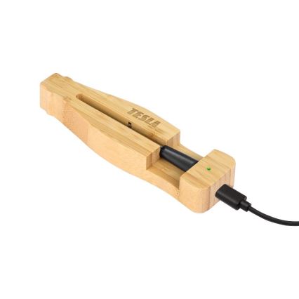 TESLA Electronics - Chytrý teploměr na maso s nabíjecím stojánkem 0-300 °C 5V IP67