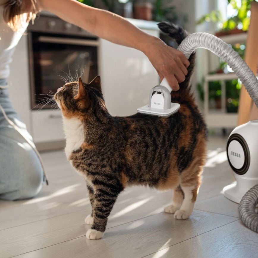 TESLA Electronics PetCare - Sada pro péči o srst domácích mazlíčků 300W/230V