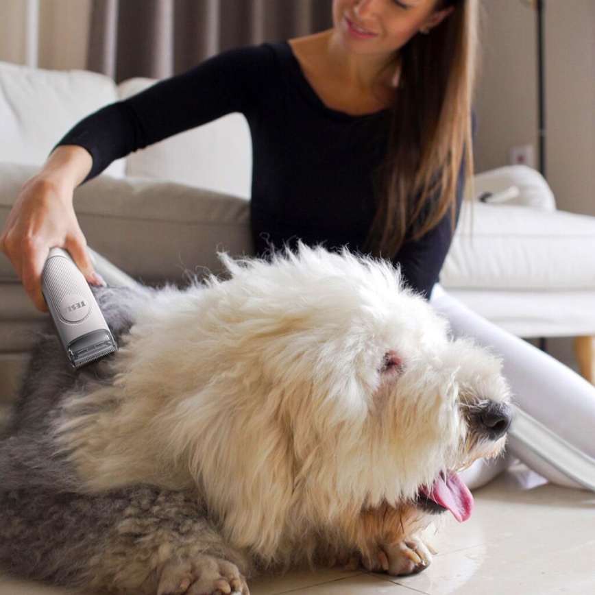 TESLA Electronics PetCare - Sada pro péči o srst domácích mazlíčků 300W/230V