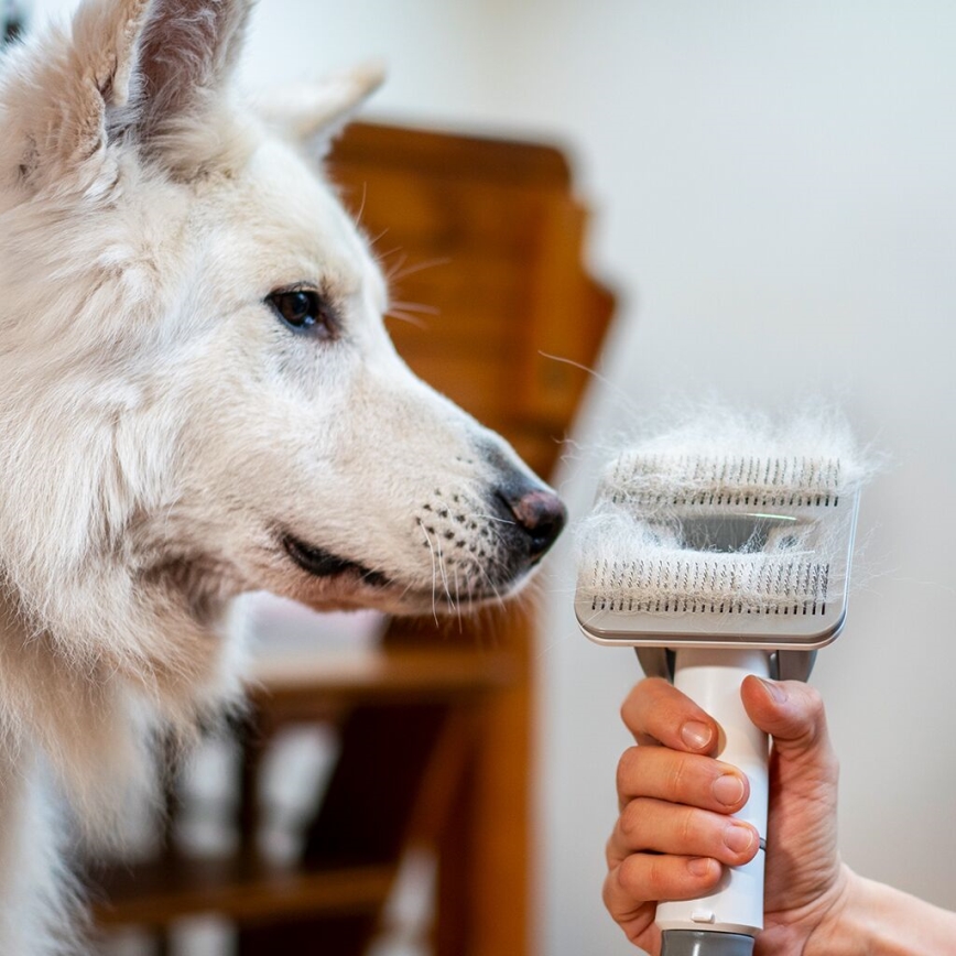 TESLA Electronics PetCare - Sada pro péči o srst domácích mazlíčků 300W/230V