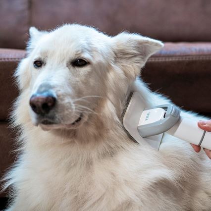 TESLA Electronics PetCare - Sada pro péči o srst domácích mazlíčků 300W/230V
