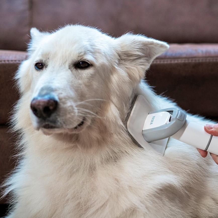 TESLA Electronics PetCare - Sada pro péči o srst domácích mazlíčků 300W/230V