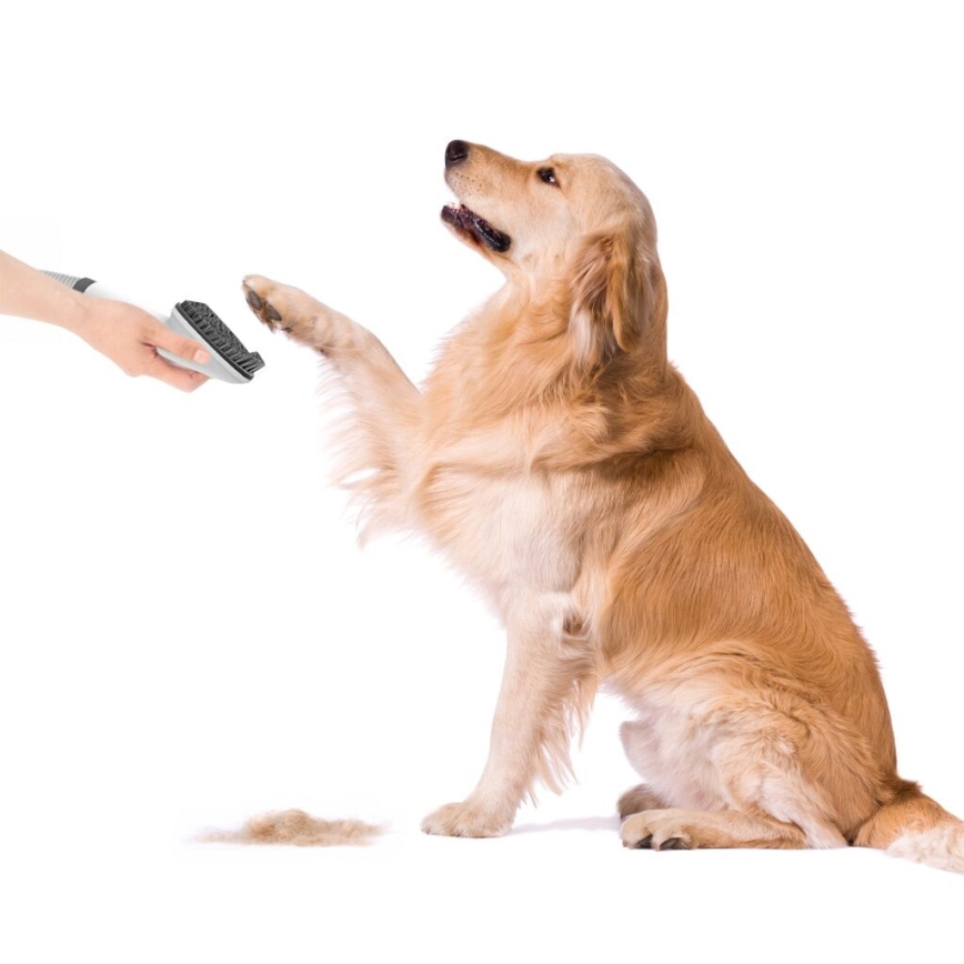 TESLA Electronics PetCare - Sada pro péči o srst domácích mazlíčků 300W/230V