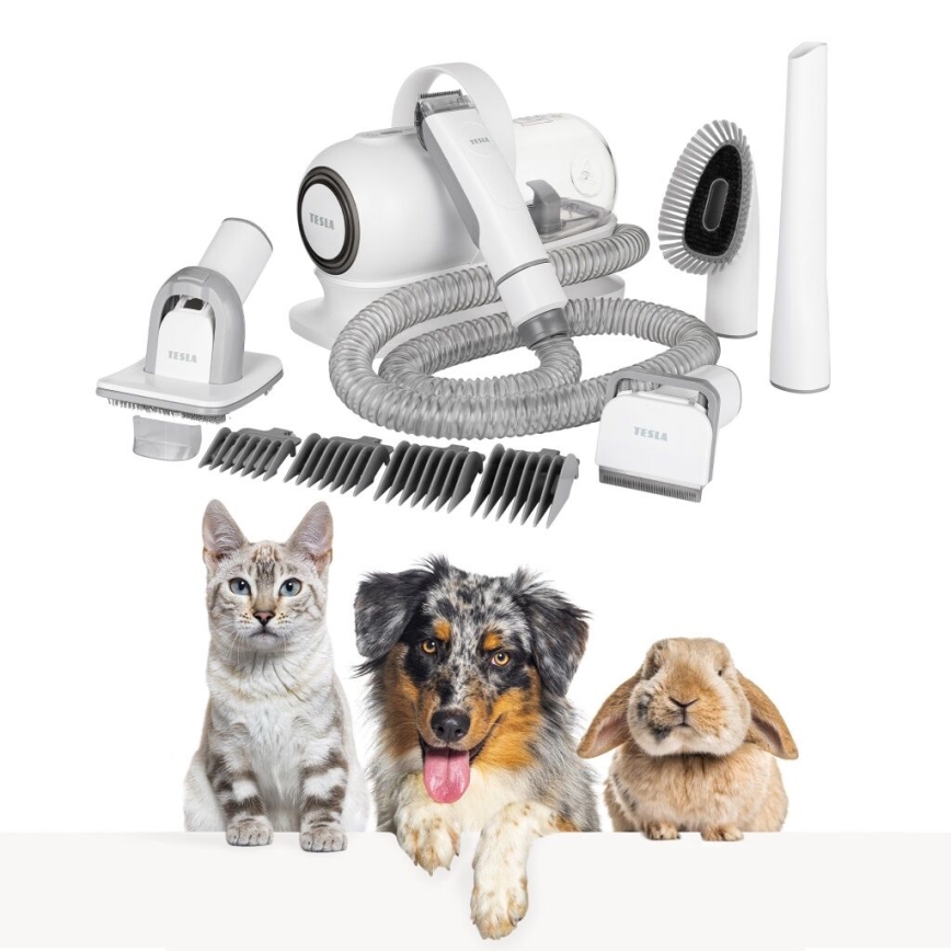 TESLA Electronics PetCare - Sada pro péči o srst domácích mazlíčků 300W/230V