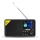 TESLA Electronics - Rádio DAB+ FM 5W/4000 mAh černá