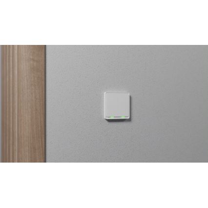 TESLA Smart - Chytrý spínač domovní 2P 230V Zigbee