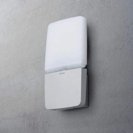 theben - LED Nástěnný reflektor LED/11W/230V stříbrná IP55
