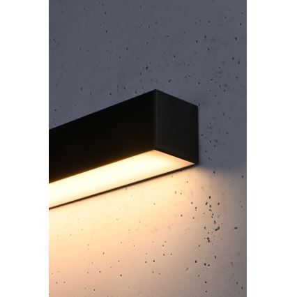 Thoro TH.054 - LED Nástěnné svítidlo PINNE LED/31W/230V