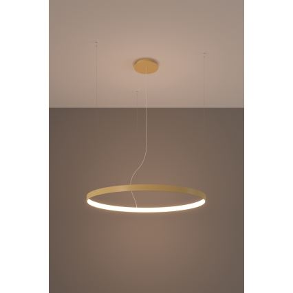 Thoro TH.174 - LED Lustr na lanku RIO LED/50W/230V CRI 90 3000K pr. 78 cm zlatá
