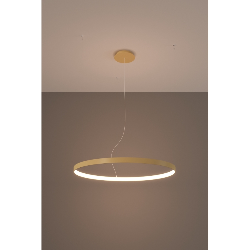 Thoro TH.174 - LED Lustr na lanku RIO LED/50W/230V CRI 90 3000K pr. 78 cm zlatá