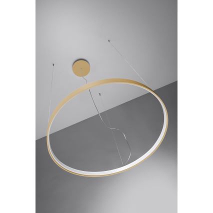 Thoro TH.174 - LED Lustr na lanku RIO LED/50W/230V CRI 90 3000K pr. 78 cm zlatá