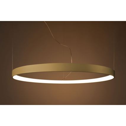Thoro TH.174 - LED Lustr na lanku RIO LED/50W/230V CRI 90 3000K pr. 78 cm zlatá