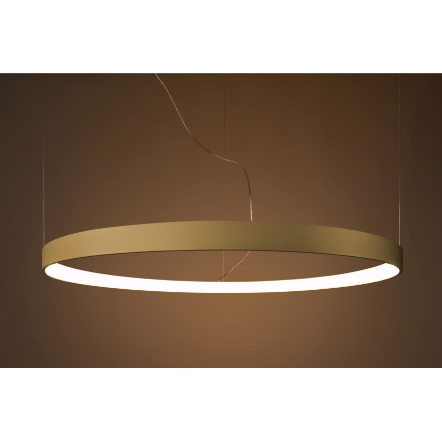 Thoro TH.174 - LED Lustr na lanku RIO LED/50W/230V CRI 90 3000K pr. 78 cm zlatá