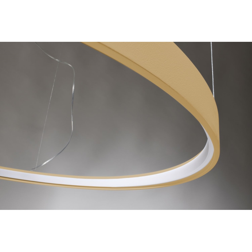 Thoro TH.181 - LED  Lustr na lanku RIO LED /50W/230V CRI 95 4000K pr. 78 cm zlatá