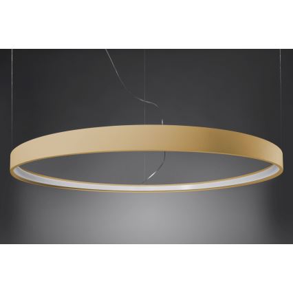 Thoro TH.216 - LED Lustr na lanku RIO LED/30W/230V CRI90 3000K pr. 55 cm zlatá