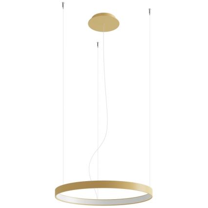 Thoro TH.216 - LED Lustr na lanku RIO LED/30W/230V CRI 90 3000K pr. 55 cm zlatá