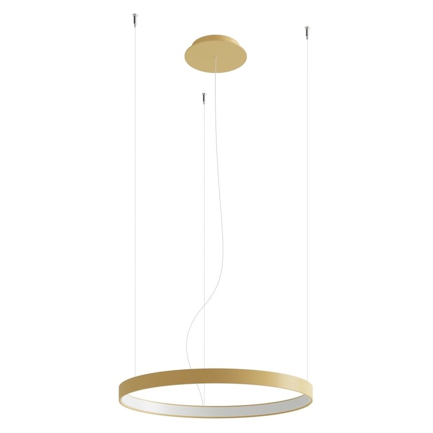 Thoro TH.216 - LED Lustr na lanku RIO LED/30W/230V CRI 90 3000K pr. 55 cm zlatá