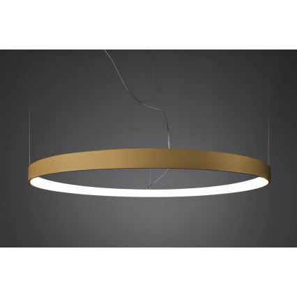 Thoro TH.217 - LED Lustr na lanku RIO LED/30W/230V CRI 95 4000K pr. 55 cm zlatá