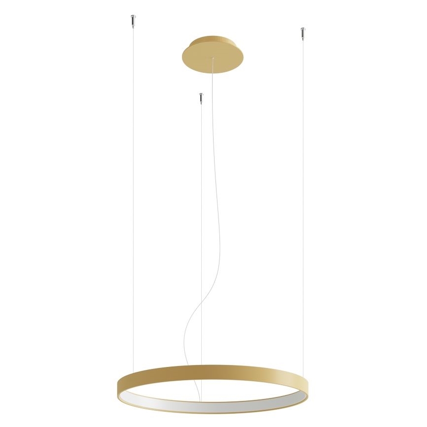 Thoro TH.217 - LED Lustr na lanku RIO LED/30W/230V CRI 95 4000K pr. 55 cm zlatá
