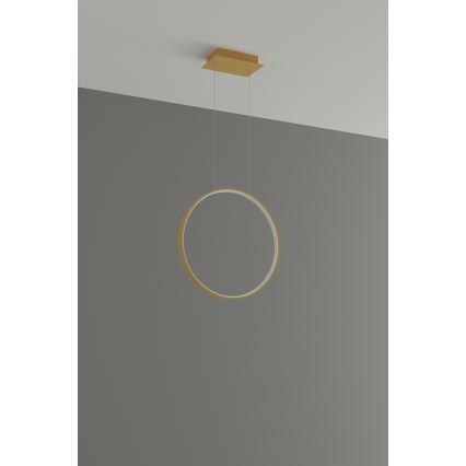 Thoro TH.220 - LED Lustr na lanku RIO LED/30W/230V CRI 90 3000K pr. 55 cm zlatá