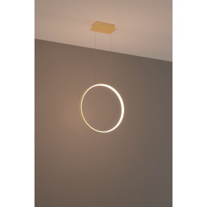 Thoro TH.220 - LED Lustr na lanku RIO LED/30W/230V CRI 90 3000K pr. 55 cm zlatá