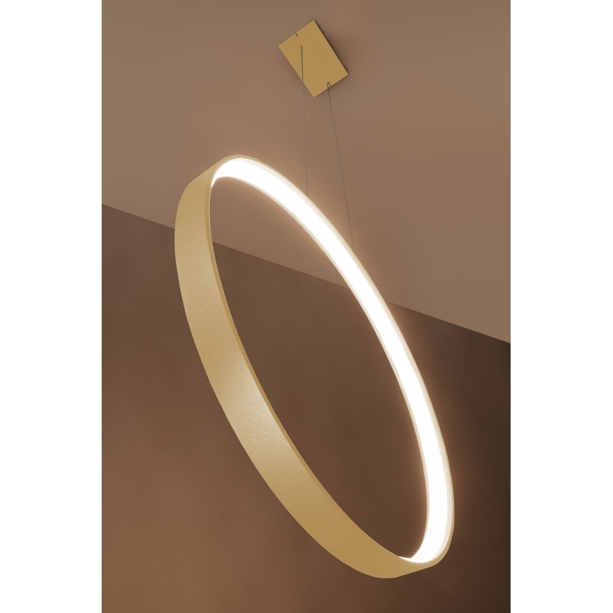 Thoro TH.220 - LED Lustr na lanku RIO LED/30W/230V CRI 90 3000K pr. 55 cm zlatá