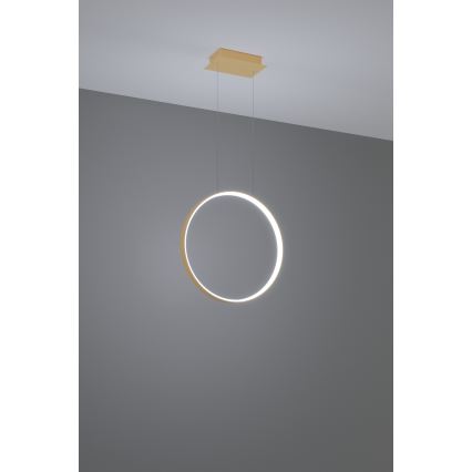 Thoro TH.221 - LED Lustr na lanku RIO LED/30W/230V CRI 95 4000K pr. 55 cm zlatá