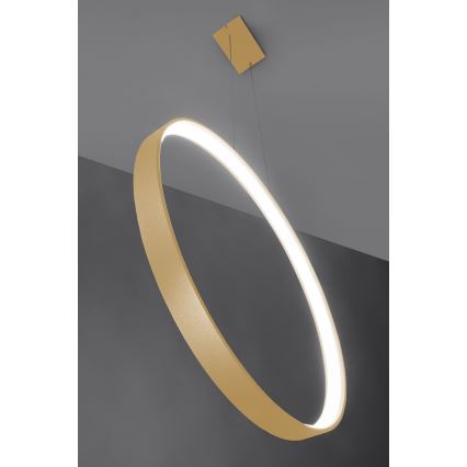 Thoro TH.221 - LED Lustr na lanku RIO LED/30W/230V CRI 95 4000K pr. 55 cm zlatá