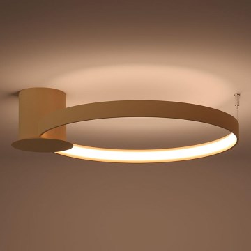 Thoro TH.222 - LED Stropní svítidlo RIO LED/30W/230V CRI 90 3000K pr. 55 cm zlatá