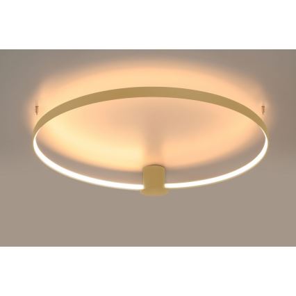 Thoro TH.222 - LED Stropní svítidlo RIO LED/30W/230V CRI90 3000K pr. 55 cm zlatá