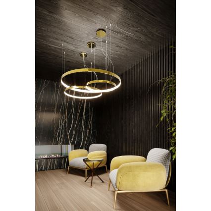 Thoro TH.246 - LED Lustr na lanku RIO LED/50W/230V CRI 90 3000K pr. 78 cm zlatá