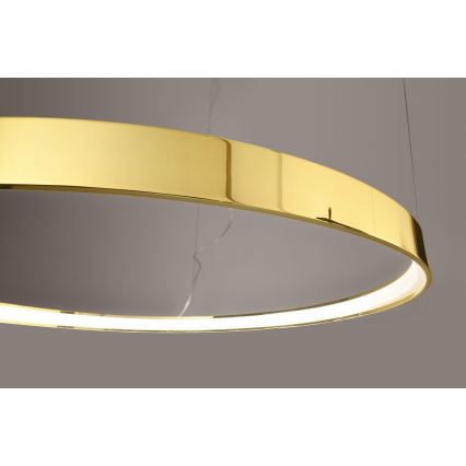 Thoro TH.246 - LED Lustr na lanku RIO LED/50W/230V CRI 90 3000K pr. 78 cm zlatá