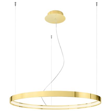 Thoro TH.246 - LED Lustr na lanku RIO LED/50W/230V CRI 90 3000K pr. 78 cm zlatá