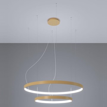 Thoro TH.268 - LED Lustr na lanku RIO LED/80W/230V CRI 95 4000K zlatá