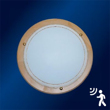 Top Light 5502/40/OD/MWS - Senzorové stropní svítidlo 2xE27/60W/230V