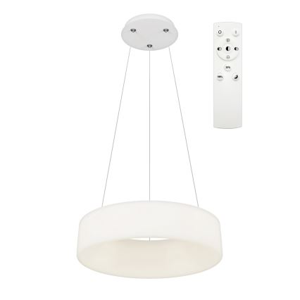 Top Light - LED Stmívatelný lustr na lanku HALO LED/40W/230V 3000-6500K pr. 44 cm + dálkové ovládání