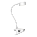 Top Light - LED Stmívatelná dotyková stolní lampa s klipem BELLA LED/4,8W/5V 3000-6500K bílá