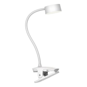 Top Light - LED Stmívatelná dotyková stolní lampa s klipem BELLA LED/4,8W/5V 3000-6500K bílá