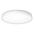 Top Light - LED Stmívatelné koupelnové stropní svítidlo NEXUS LED/55W/230V 3000-6500K IP44 pr. 48 cm bílá + dálkové ovládání