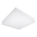 Top Light - LED Stmívatelné stropní nástěnné svítidlo BOXTER LED/12/18/24W/230V IP54 3000/4000/6500K 28x28 cm