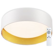 Top Light - LED Stmívatelné stropní svítidlo IVONA 40B RC LED/24W/230V + dálkové ovládání bílá