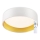 Top Light - LED Stmívatelné stropní svítidlo IVONA 40B RC LED/24W/230V + dálkové ovládání bílá