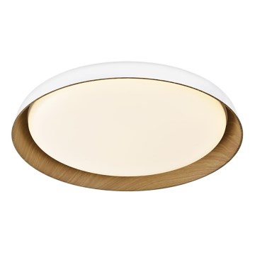 Top Light - LED Stmívatelné stropní svítidlo SATELLITE LED/48W/230V 3000-6500K pr. 53 cm bílá/hnědá + dálkové ovládání