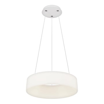 Top Light - LED Stmívatelný lustr na lanku HALO LED/40W/230V 3000-6500K pr. 44 cm + dálkové ovládání