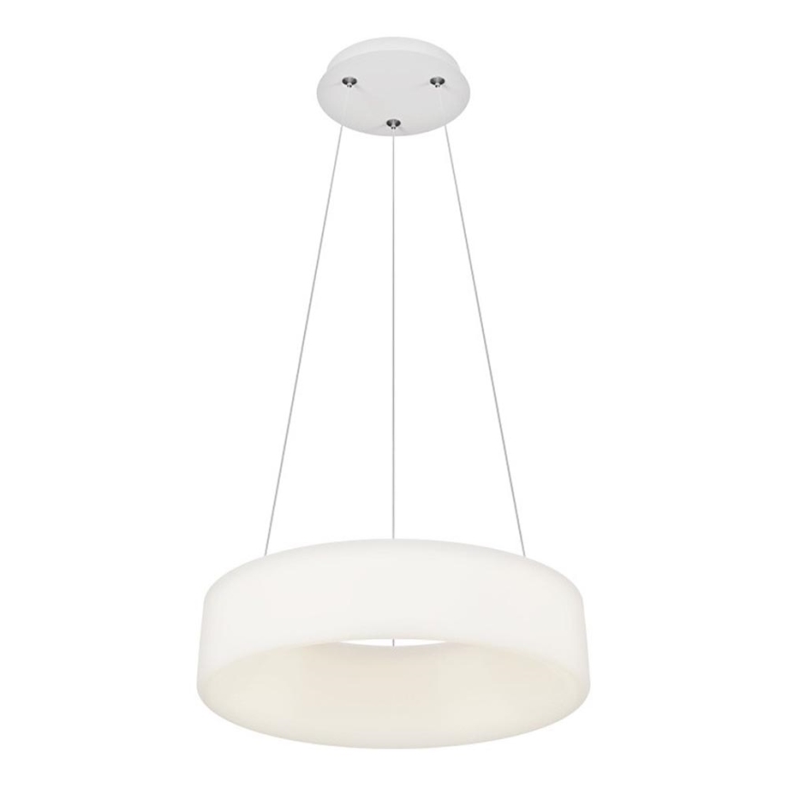 Top Light - LED Stmívatelný lustr na lanku HALO LED/40W/230V 3000-6500K pr. 44 cm + dálkové ovládání