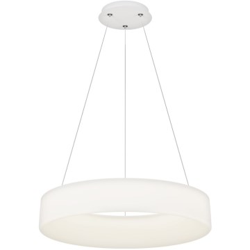 Top Light - LED Stmívatelný lustr na lanku HALO LED/60W/230V 3000-6500K pr. 60 cm + dálkové ovládání