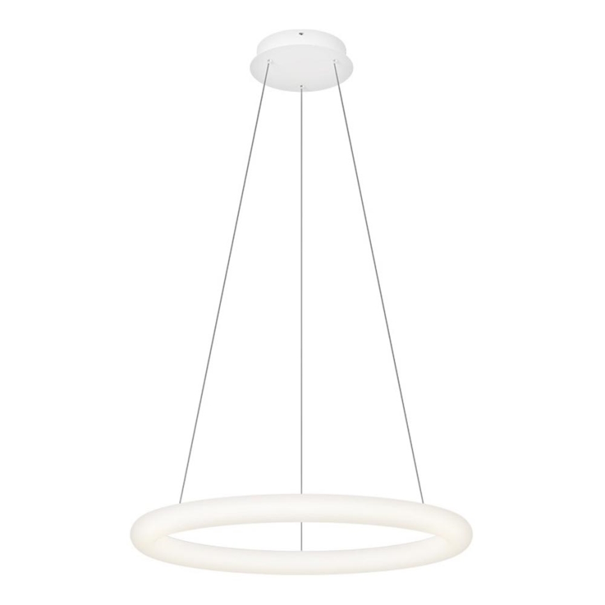 Top Light - LED Stmívatelný lustr na lanku RINGO LED/40W/230V 3000-6500K bílá + dálkové ovládání