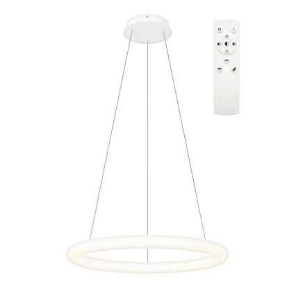 Top Light - LED Stmívatelný lustr na lanku RINGO LED/40W/230V 3000-6500K bílá + dálkové ovládání